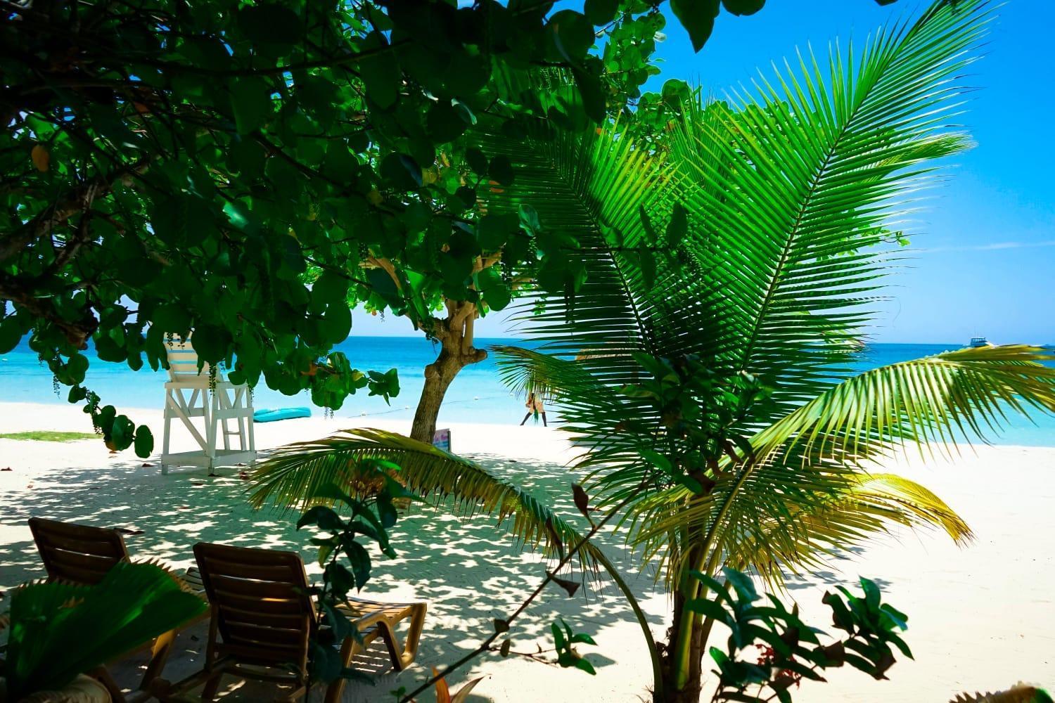 Ayurveda Resort Negril Eksteriør bilde